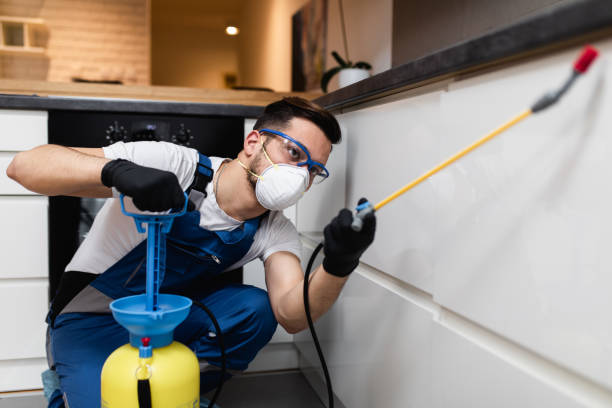 Best Ant Control Services  in , OK