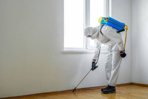 Best Pest Prevention Services  in , OK