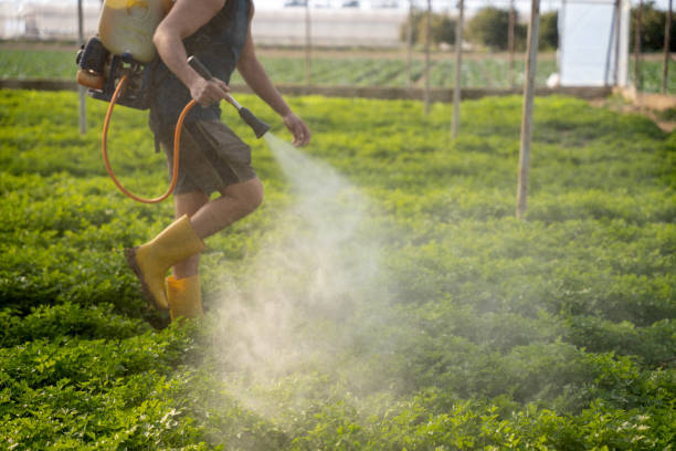 Best Residential Pest Control  in , OK