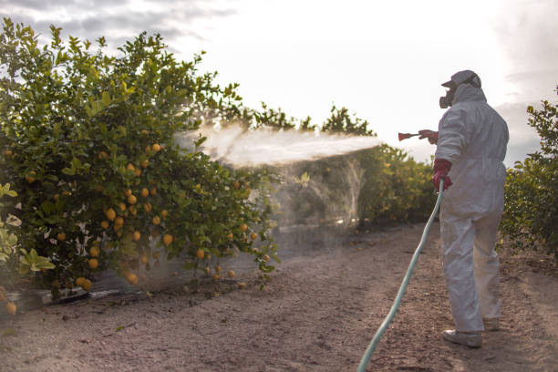 Best Wasp Removal Services  in , OK