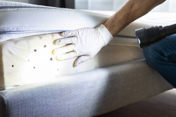 Best Commercial Pest Control Services  in , OK