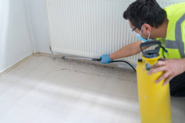 Best Pest Control Treatment  in , OK